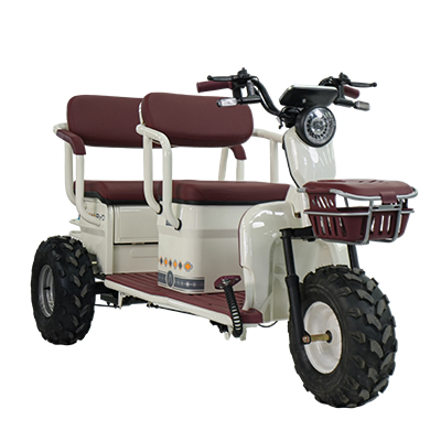 Tianlong Off-road Edition
